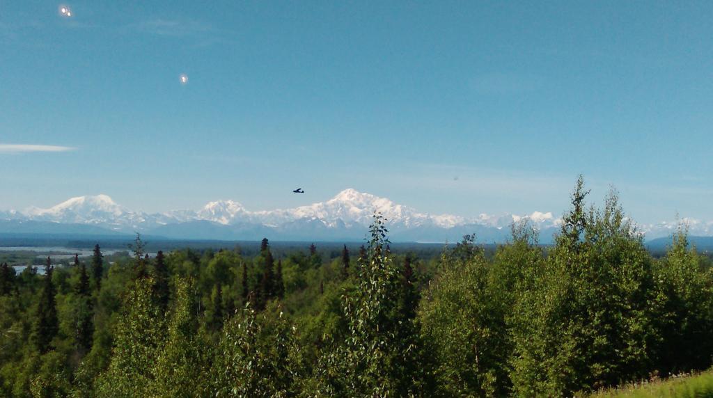 Готель Talkeetna Love-Lee Cabins Екстер'єр фото