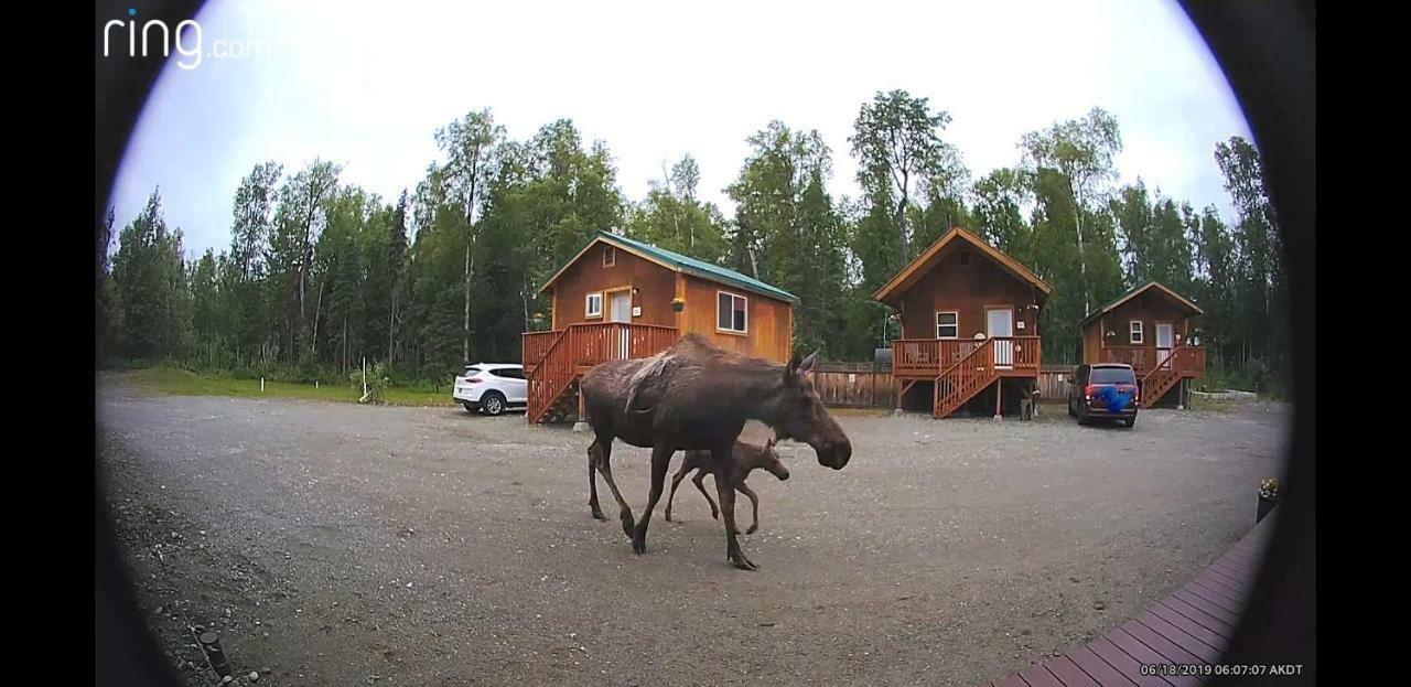 Готель Talkeetna Love-Lee Cabins Екстер'єр фото